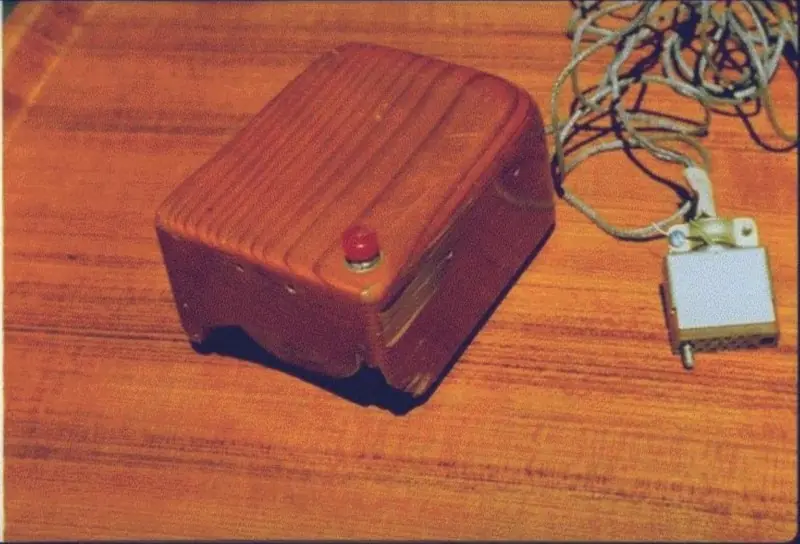 mouse