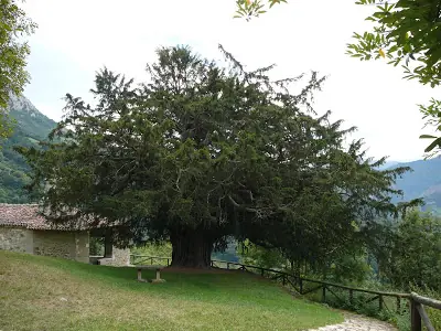 PROPIEDADES TÓXICAS