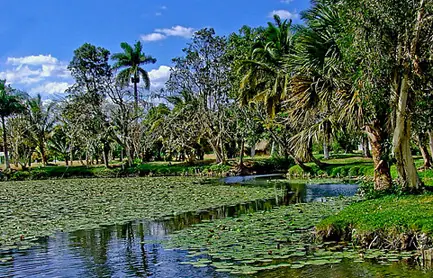 la habana