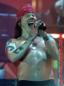 Axl Rose 1997-2007, información completa y razonable