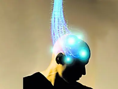 Las neuronas del cerebro: Los chips orgánicos más perfecto