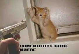 prohibidos