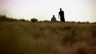 AMC