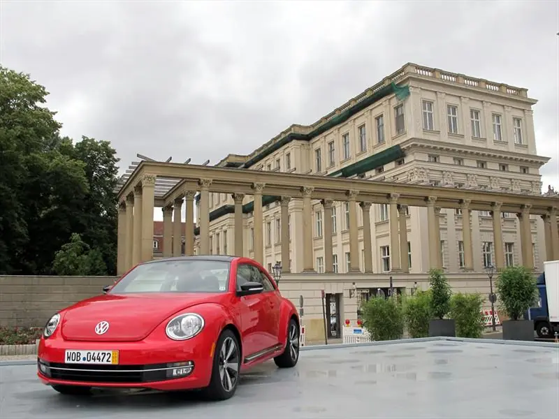 beetle
