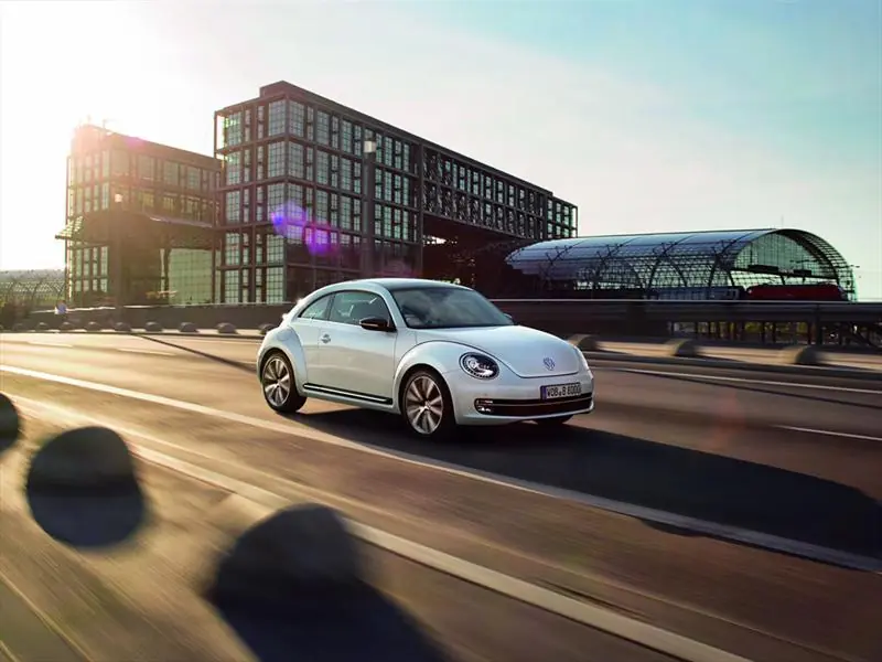 beetle