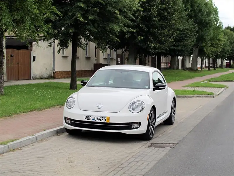 beetle
