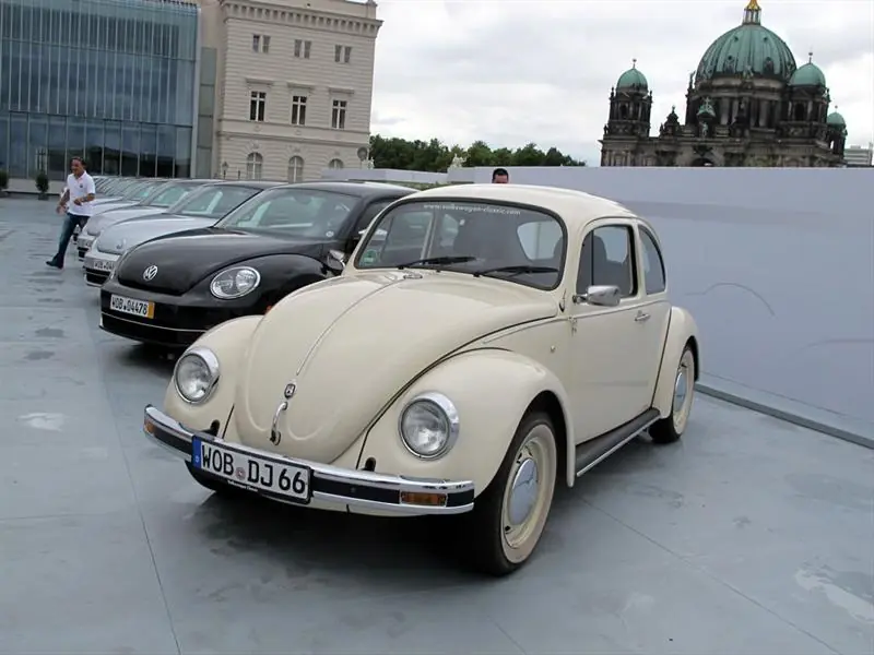 beetle