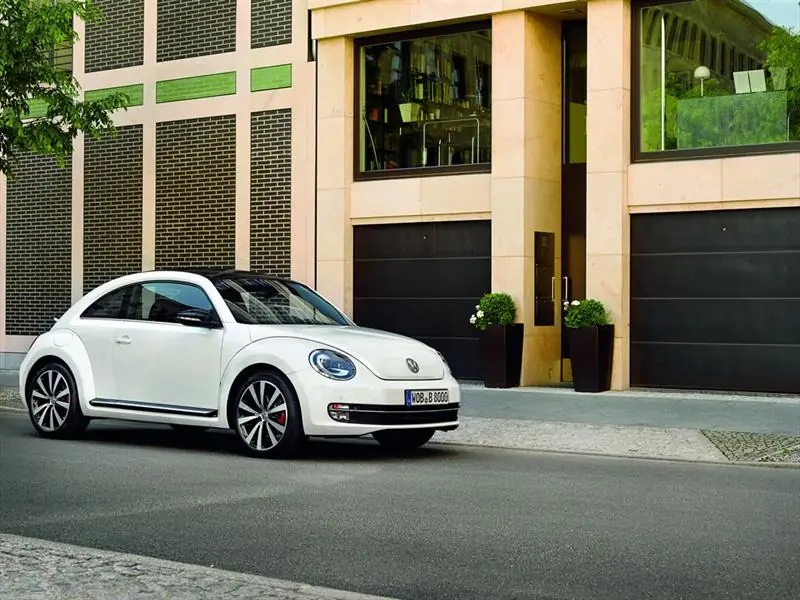 beetle