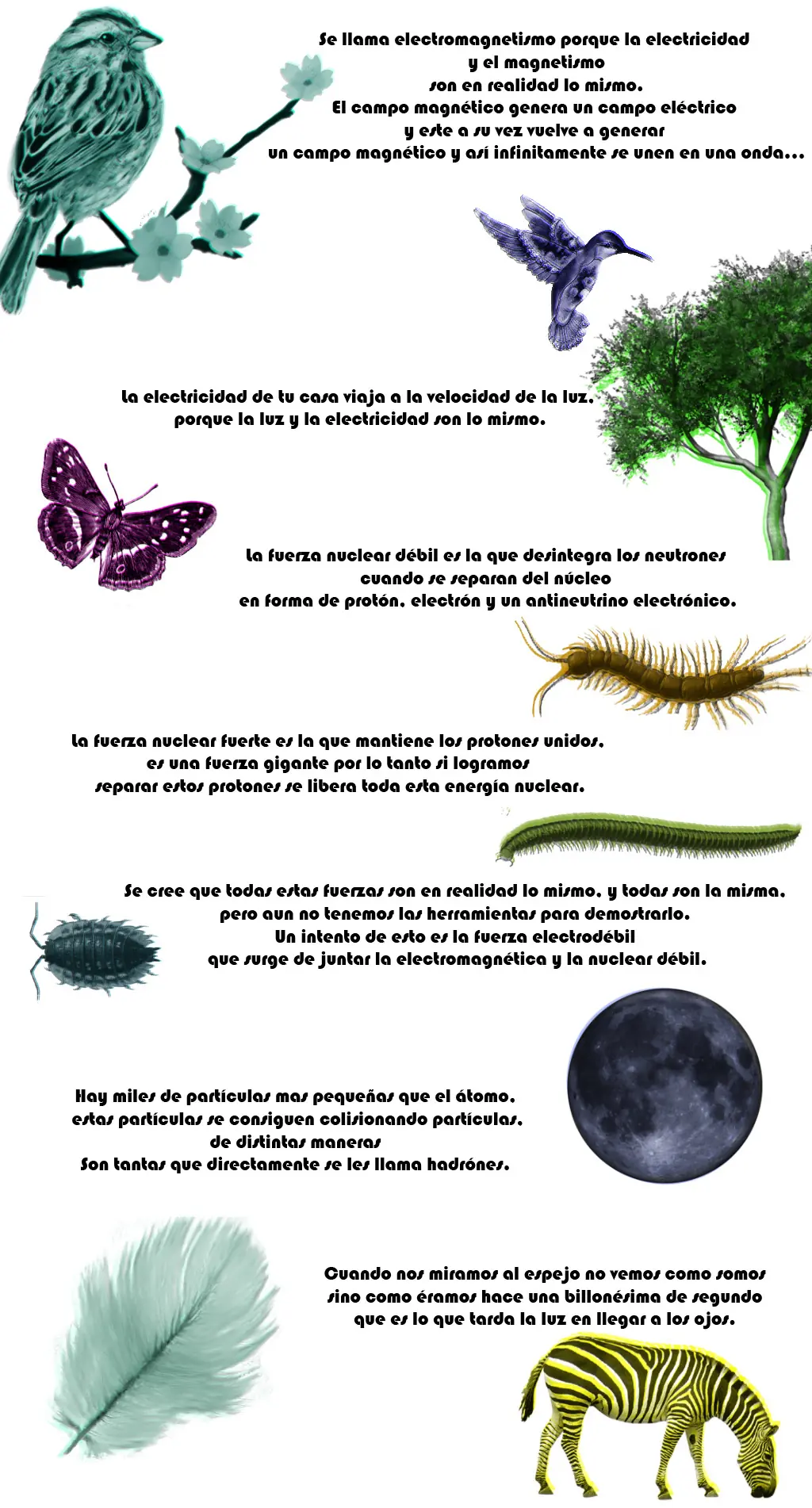 leyes