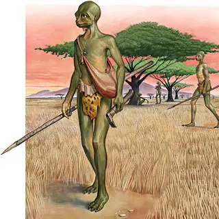 tipologias