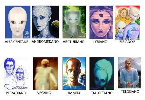 estubieron
