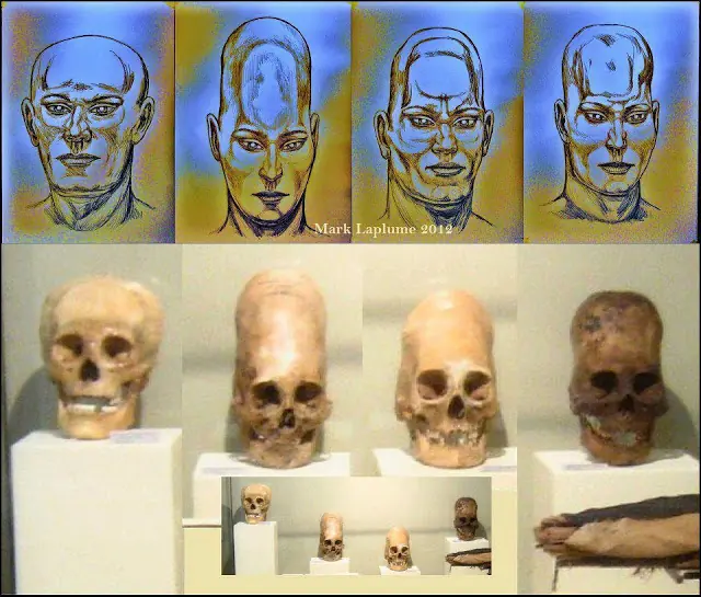 tipologias