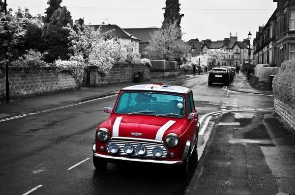 ingleses