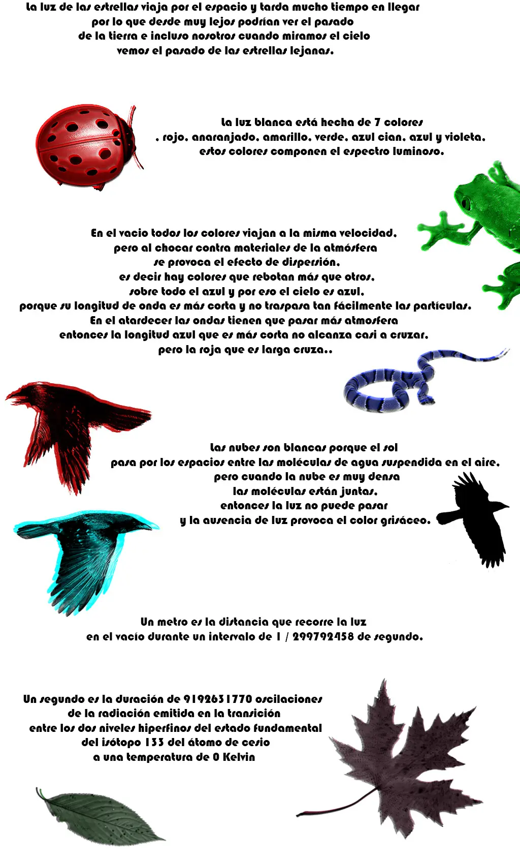 actualidad