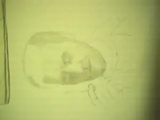 Dibujo
