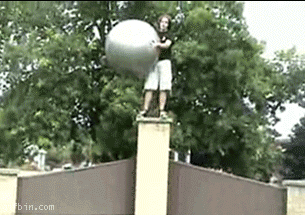 Gifs