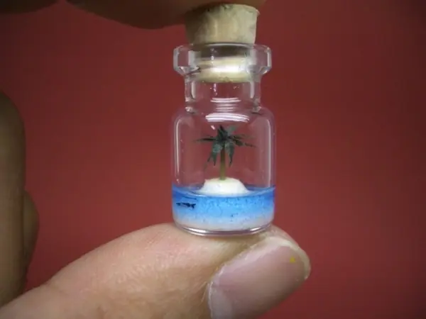 Mundos diminutos en botellas