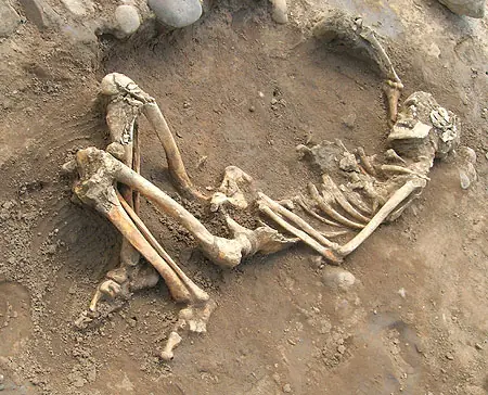 La tuberculosis del romano de York