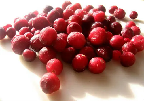 alimento