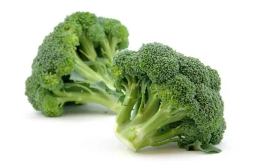 Que el alimento sea tu mejor medicina