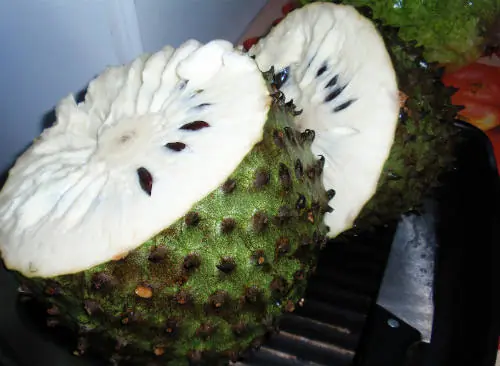 Alimentación
