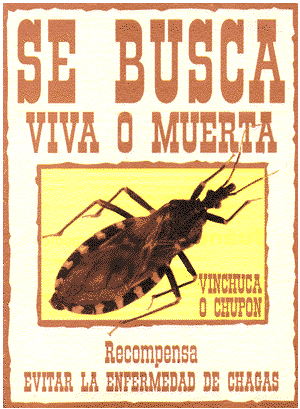Enfermedad de Chagas, Una Realidad Silenciosa