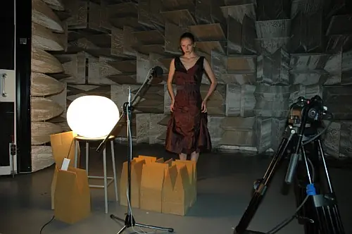 Las doce cámaras anecoicas más curiosas