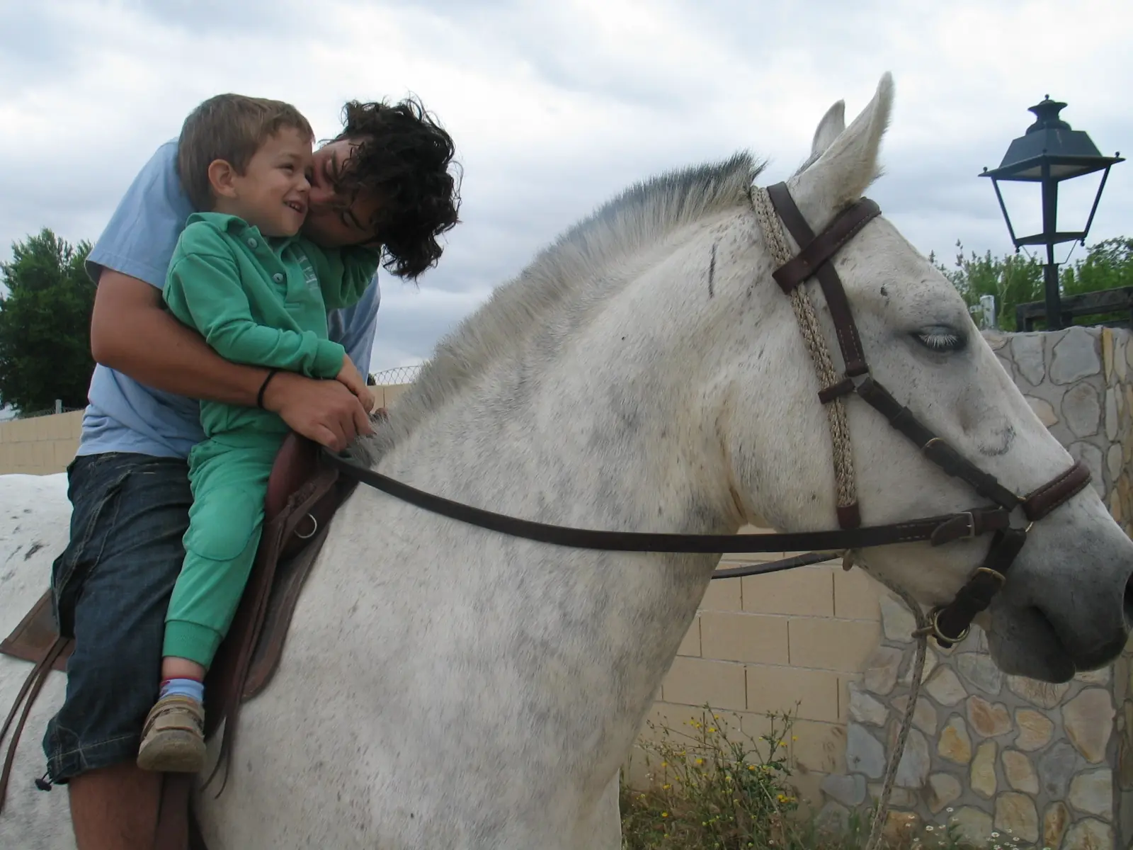 Caballos que curan personas