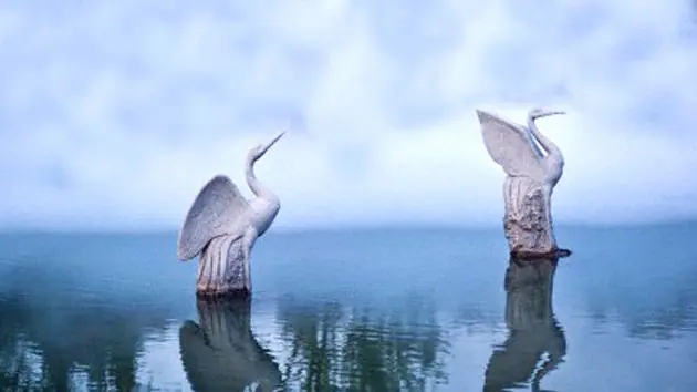 lago de la muerte convierte a los animales en estatuas