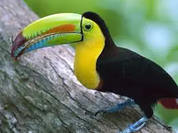 tierra