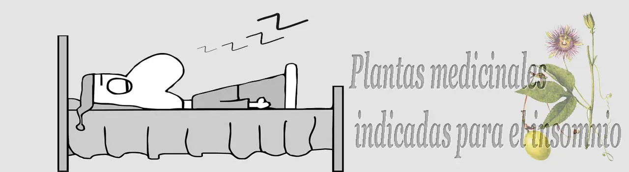 Siete plantas medicinales indicadas para el insomnio