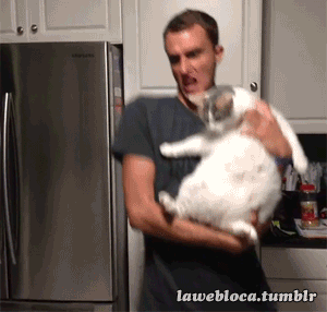 mas gifs