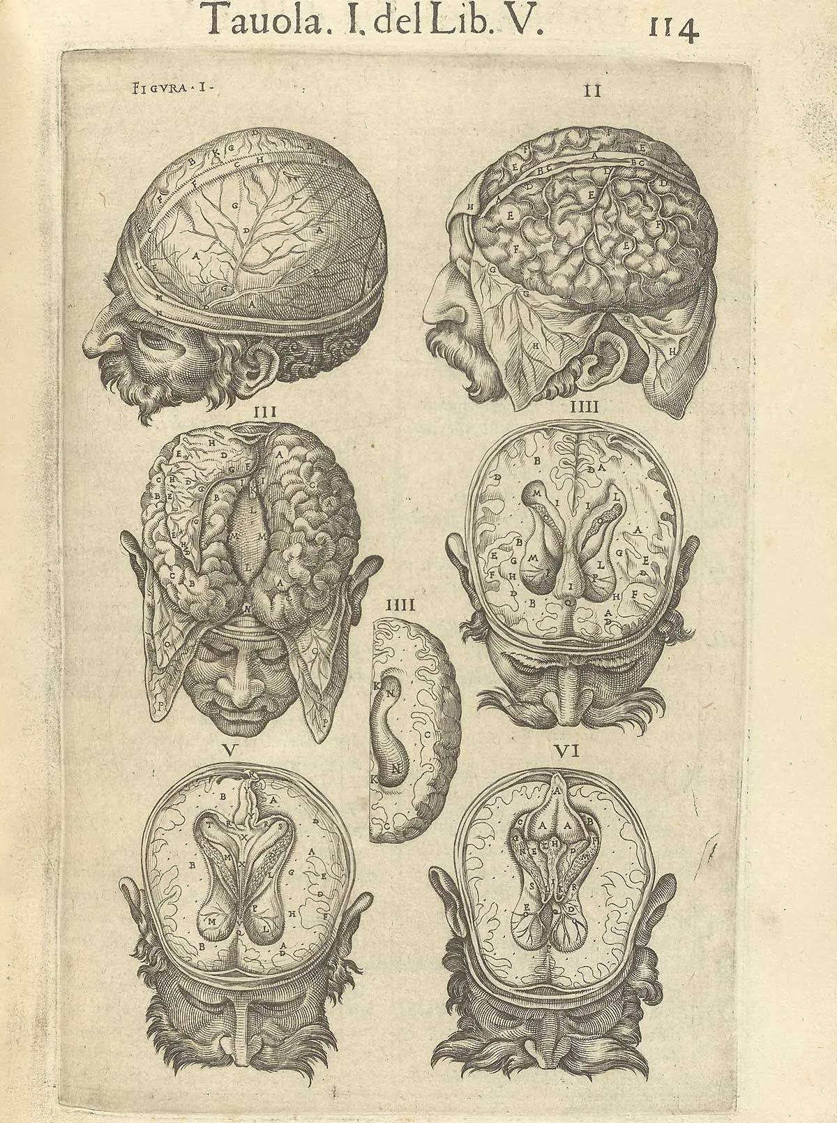Anatomia del corpo Humano - Juan Valverde de Amusco (1560)