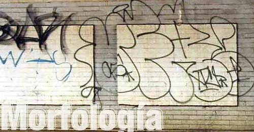 Graffiti, Morfología