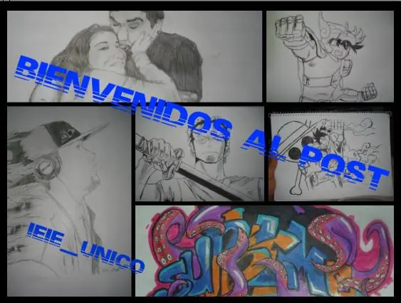 Dibujos propios de one piece