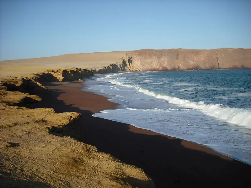 argentino