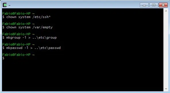 Cygwin