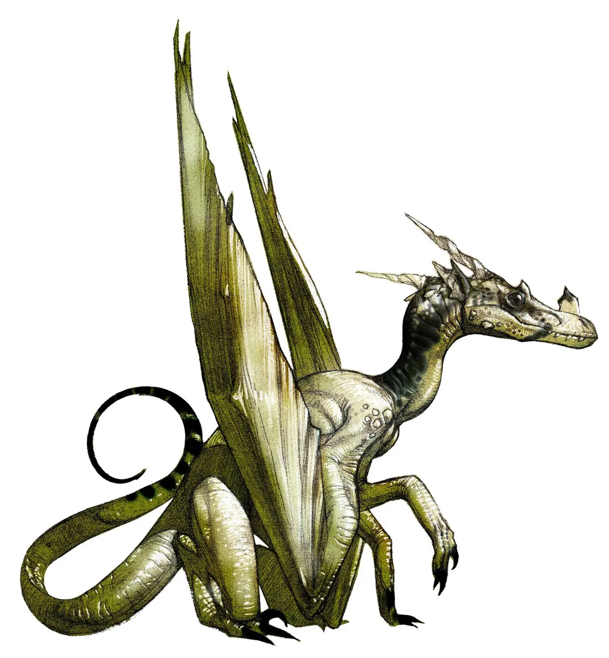 arte conceptual de Carlo Arellano