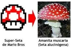 Acerca