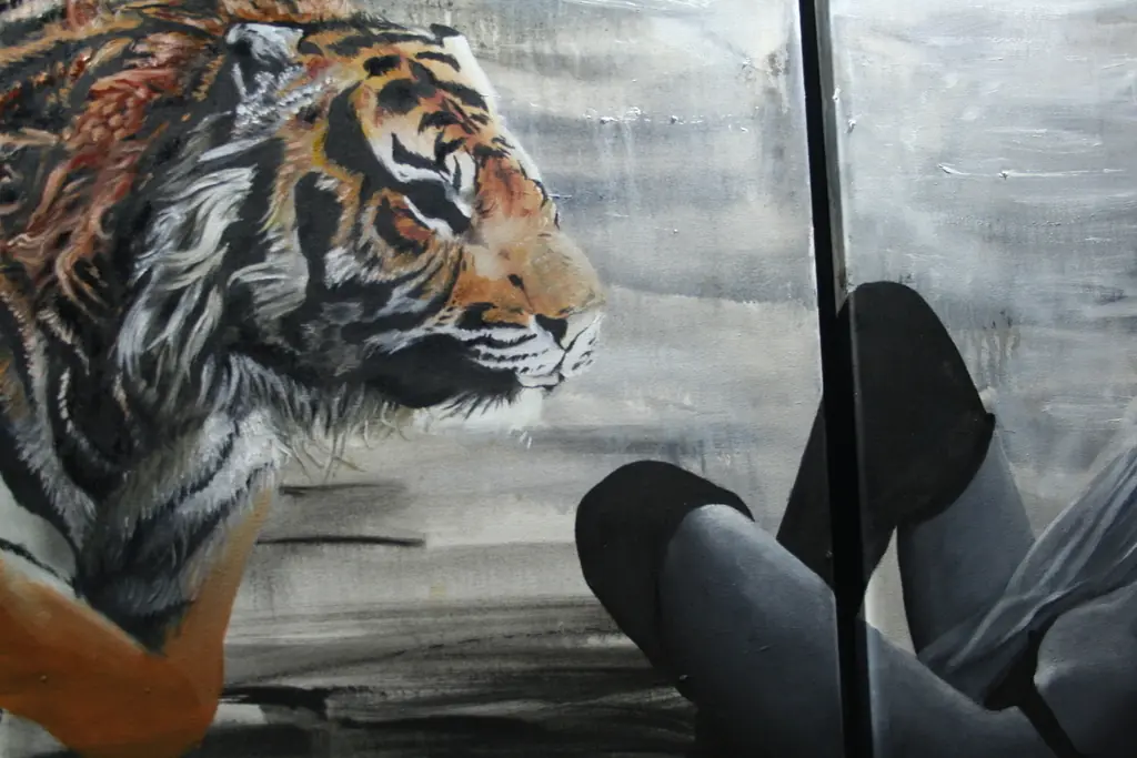 tigre