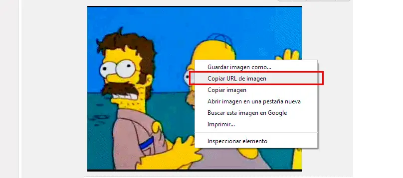 Busqueda