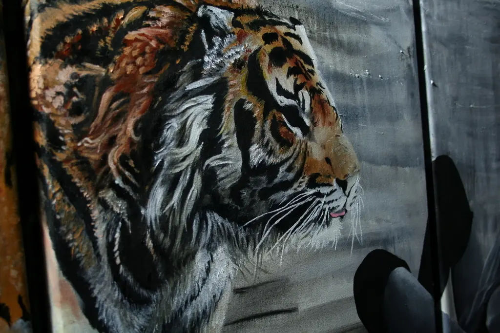 tigre