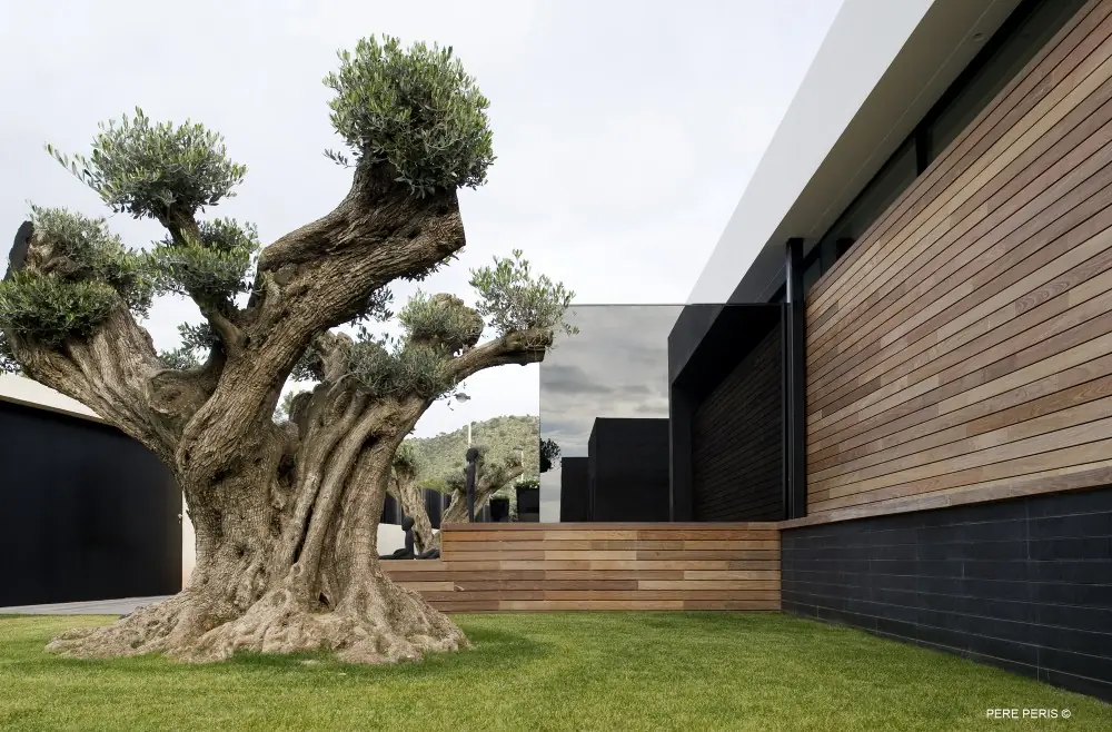 Arquitectura Española: Window