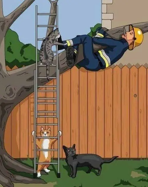 humor