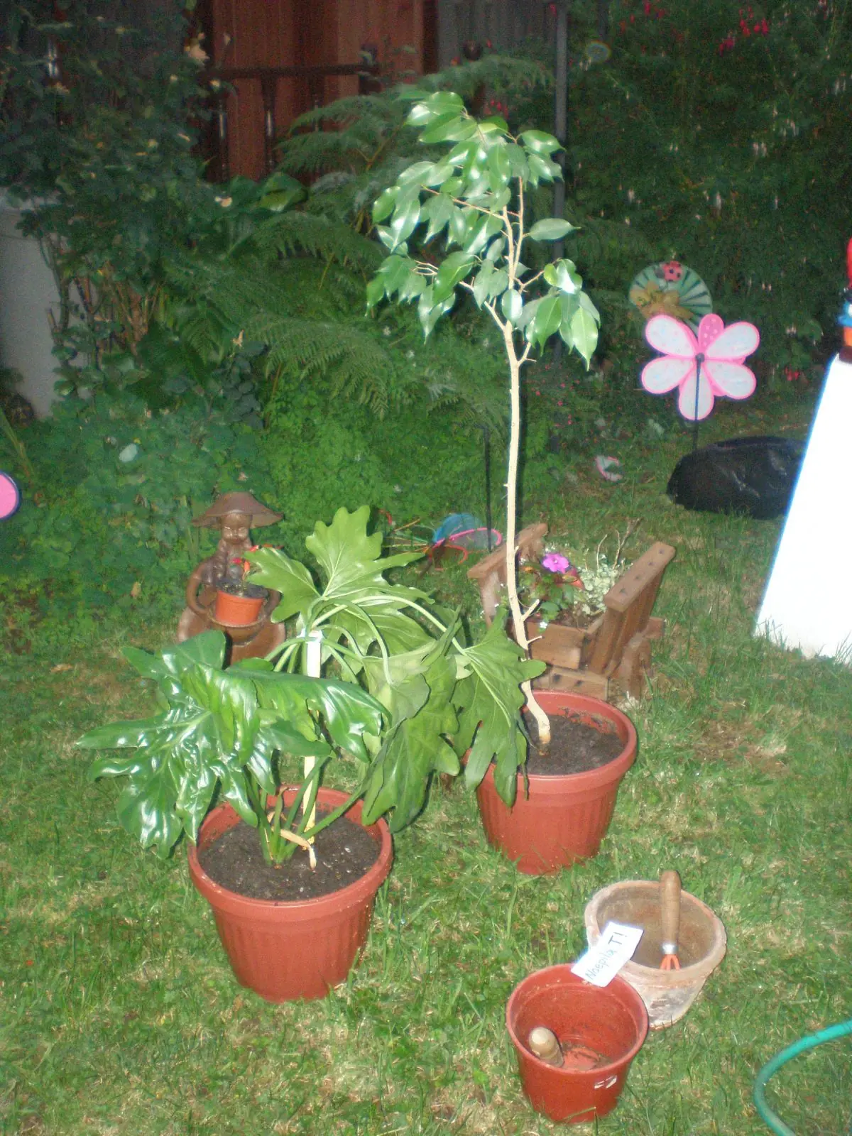 compost