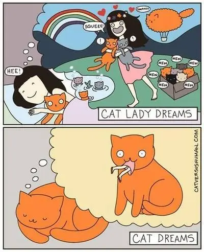 Humor Grafico