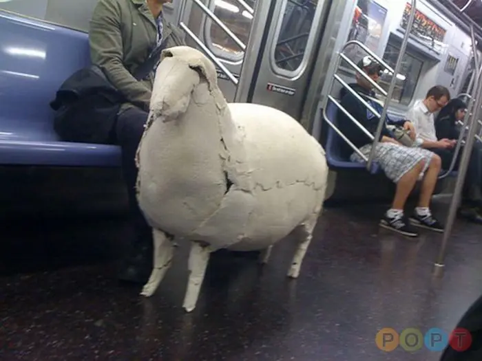 Cosas Raras que pasan en los SubTe`s