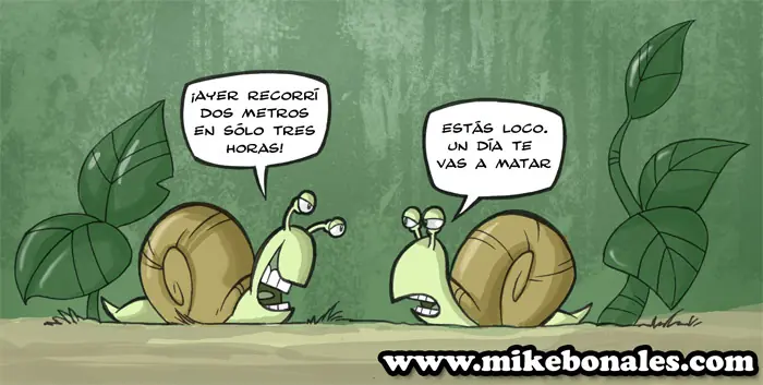 caracoles
