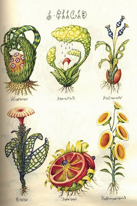 ilustracion