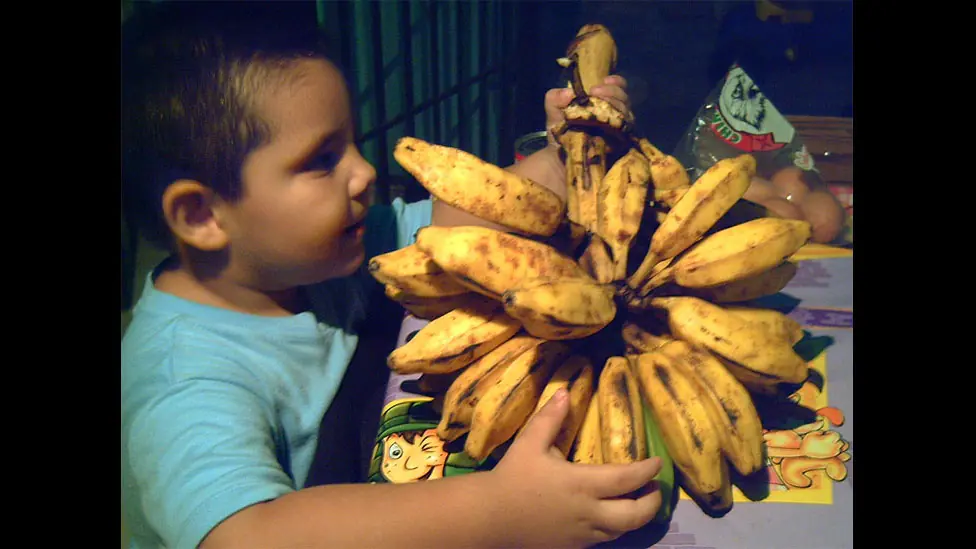 Frutas exoticas de latinoamerica [EDIT]